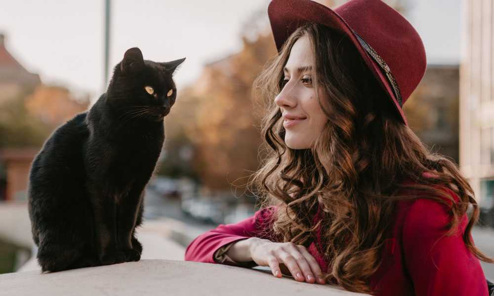Девушка и черный кот