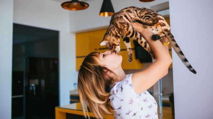 девочка целует кошку