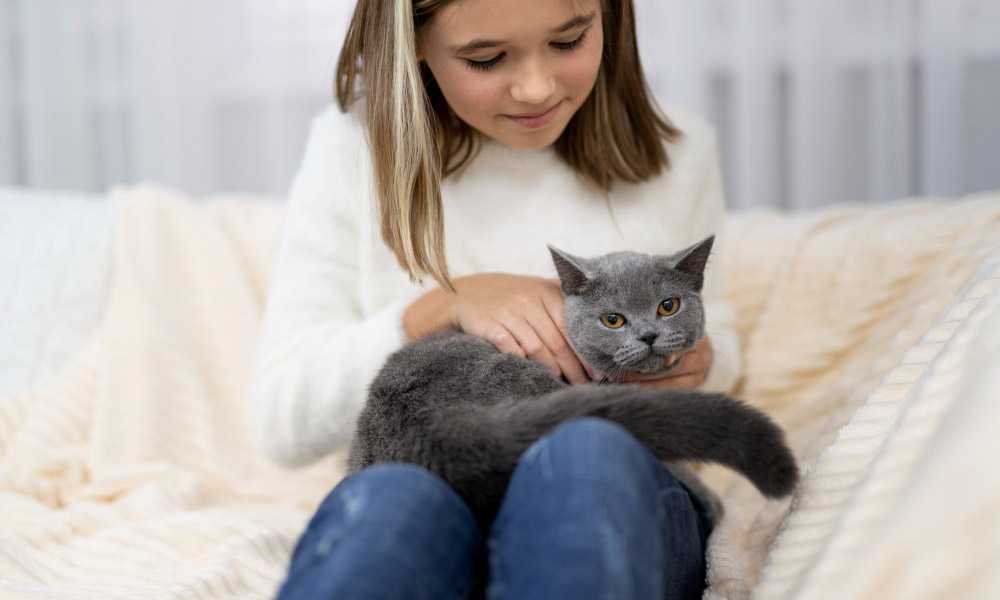 девочка с серым котом