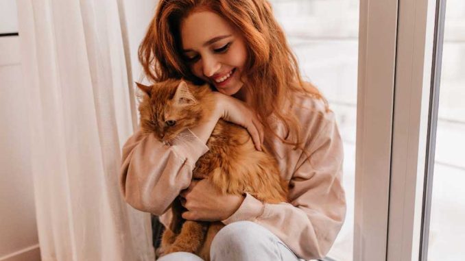 Рыжая девушка с рыжим котом