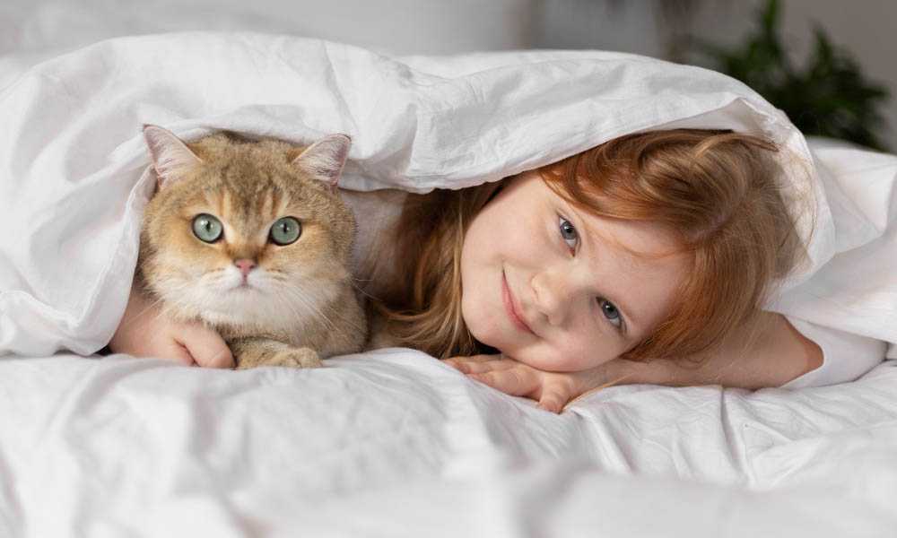 девочка с котом под одеялом