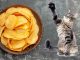 Можно ли кошкам чипсы?
