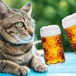 Можно ли котам пить пиво