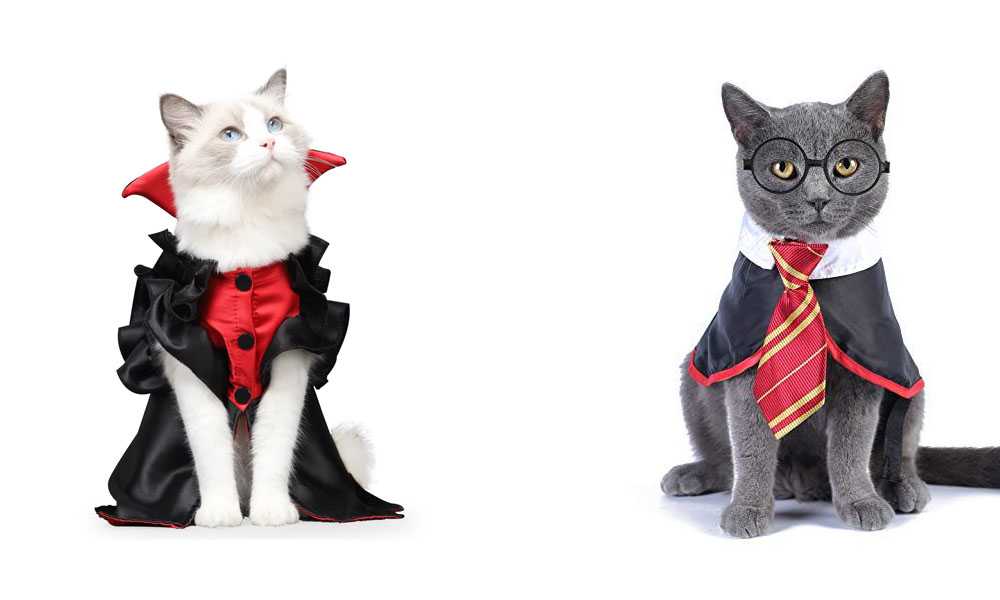 коты в хеллоуинских костюмах
