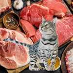 Какое мясо можно кошкам?