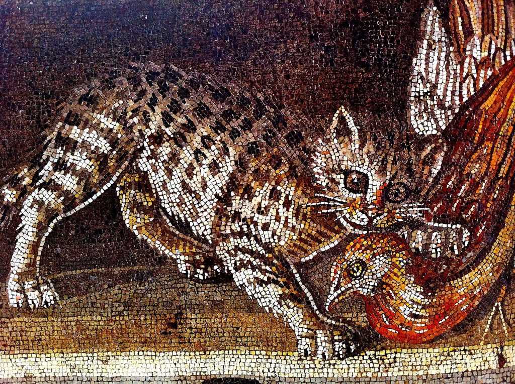 фреска на которой кошка