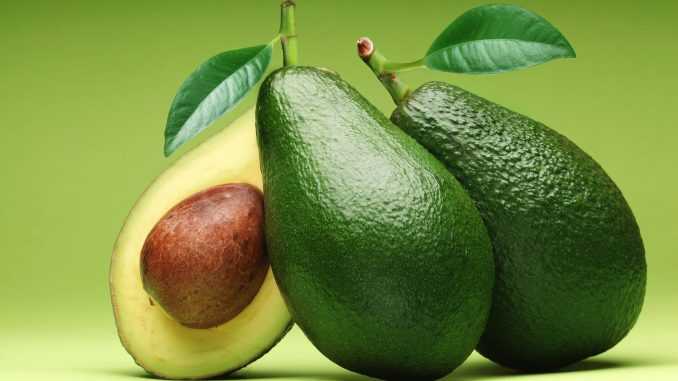 авокадо на зеленом фоне