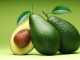 авокадо на зеленом фоне