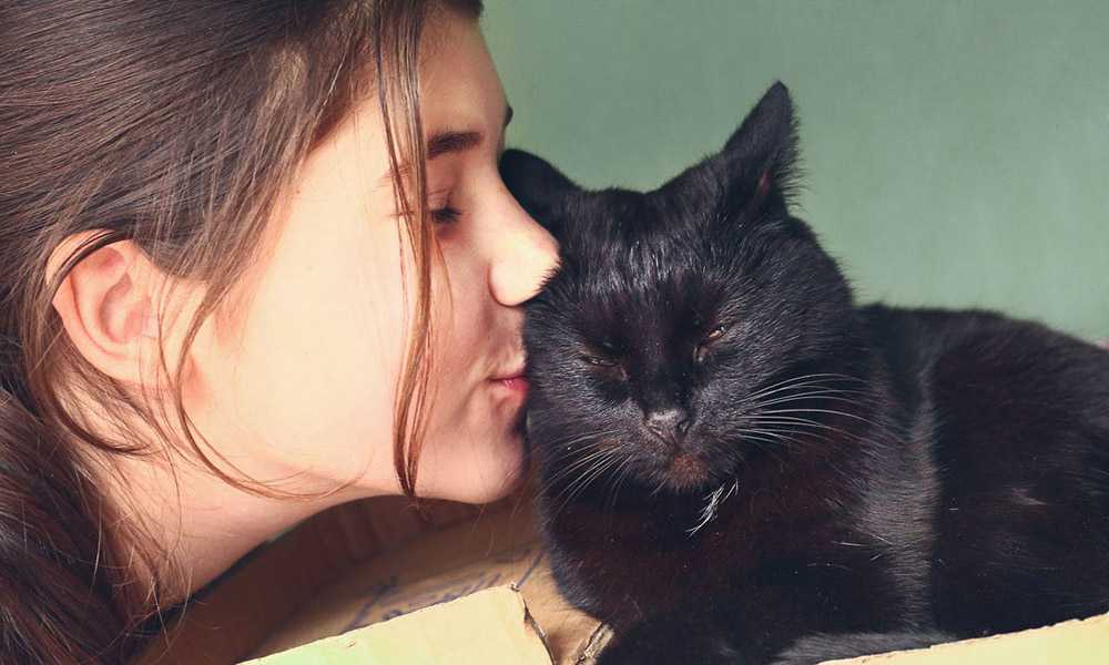 девочка целует кота