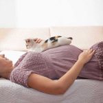 Чувствуют ли кошки беременность хозяйки?