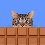 Можно ли кошкам шоколад
