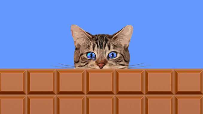 Можно ли кошкам шоколад