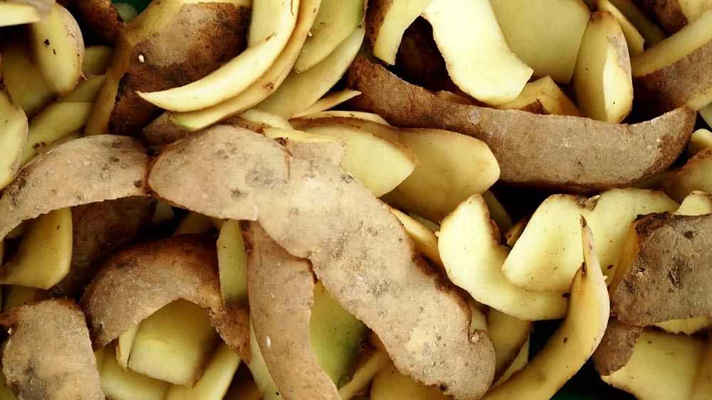 Очистки от картофеля