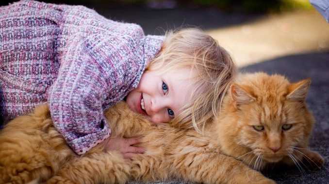 кошка и ребенок вместе