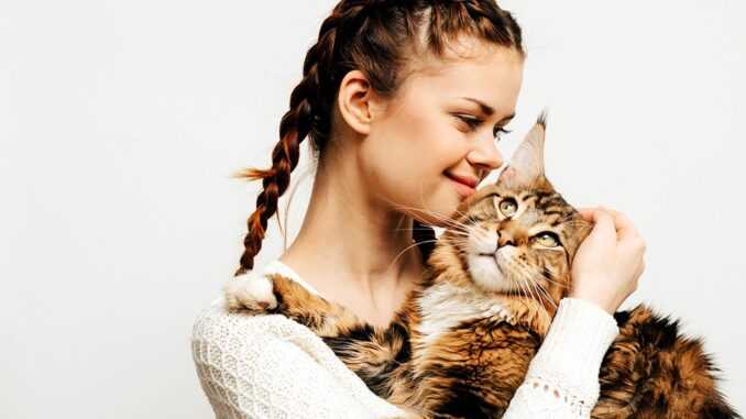 девушка держит на руках кошку