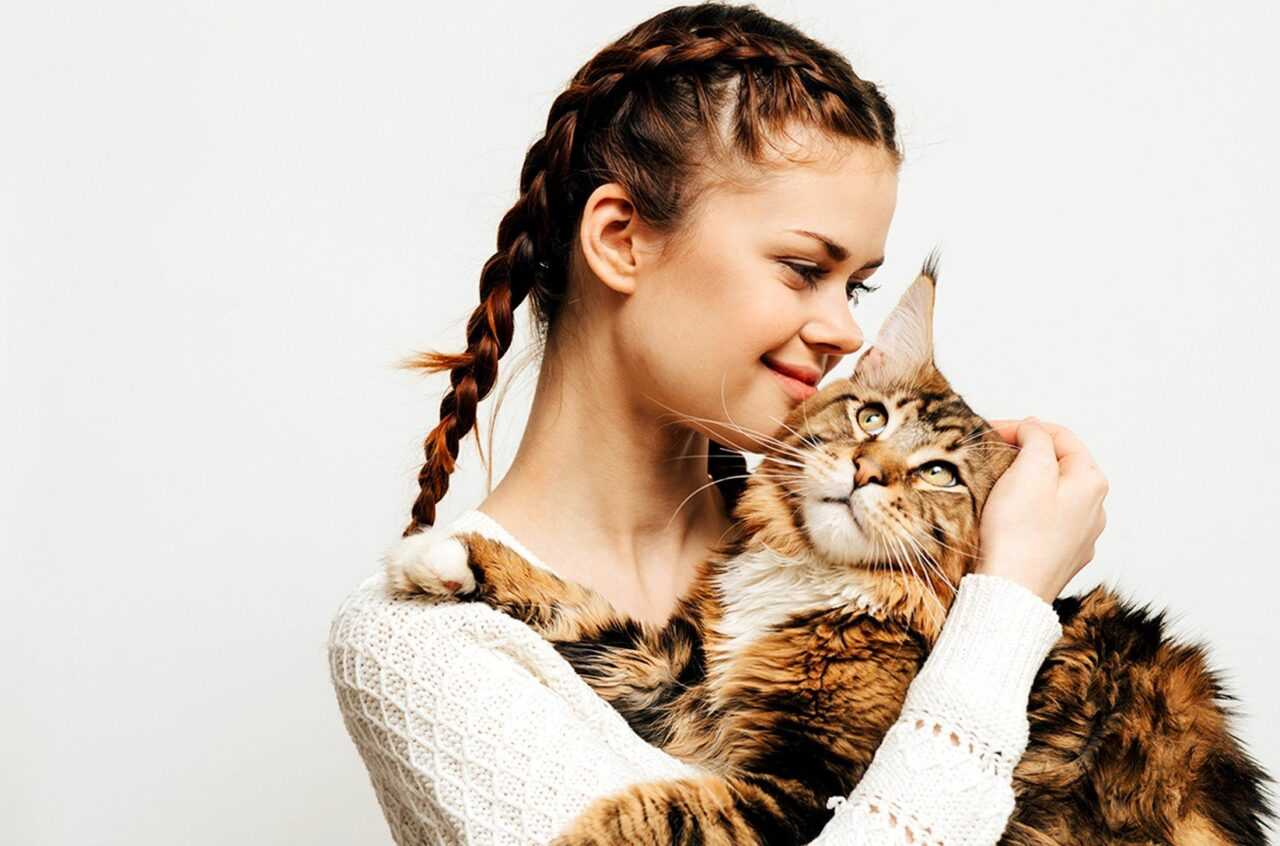 Какую роль играет кошка в жизни человека?