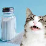 соль для кошек