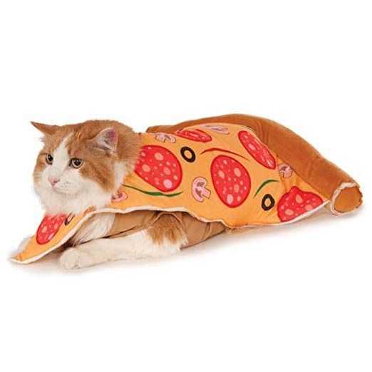 кот пицца