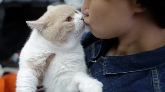 можно ли целовать кошку в нос