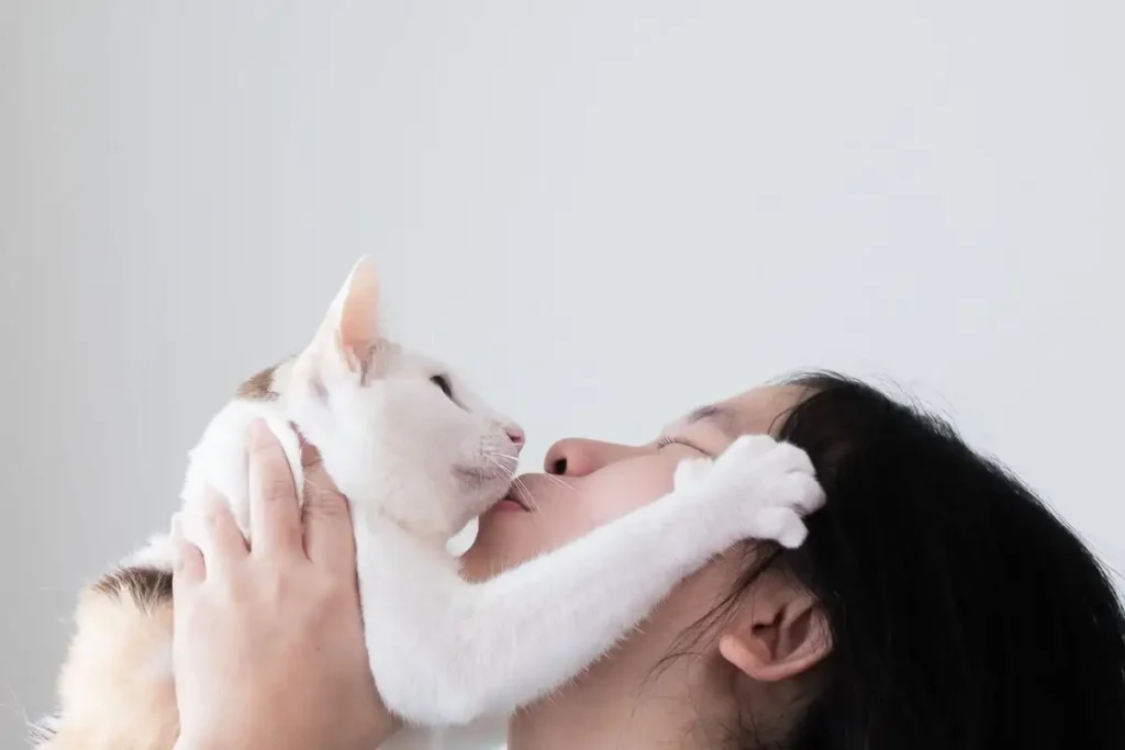 поцелуй кота в нос