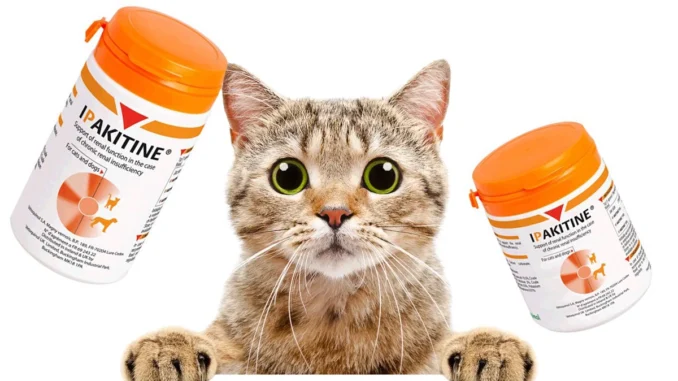 Ипакитине для кошек с ХПН