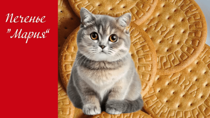 Можно ли кошкам печенье мария