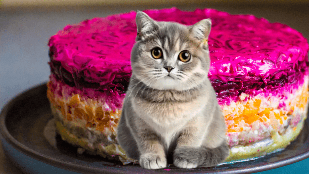 Можно ли кошкам сельдь под шубой? | KOTE.info