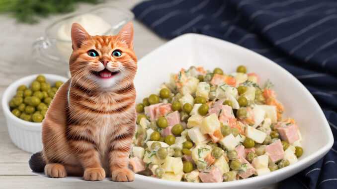 кот и салат оливье