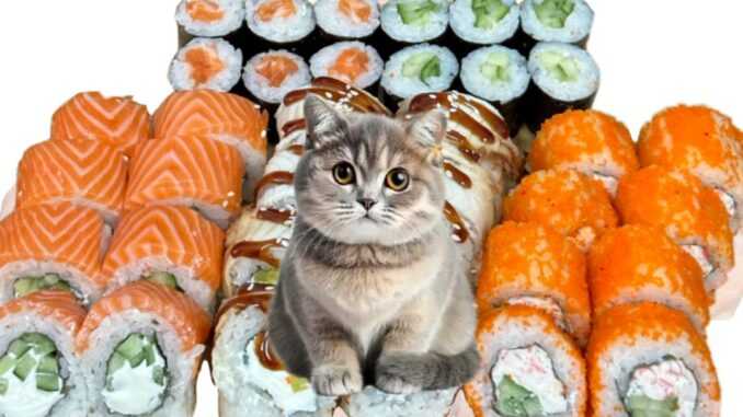 можно ли котам суши